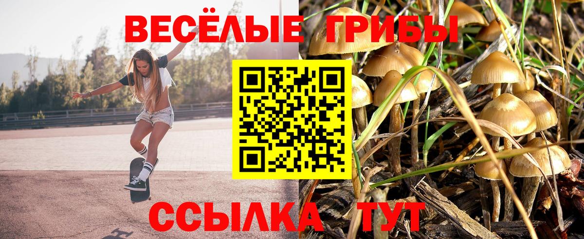 Псилоцибиновые грибы ЛСД  Вход с VPN  Чапаевск  Псилоцибиновые грибы GOLDEN TEACHER 